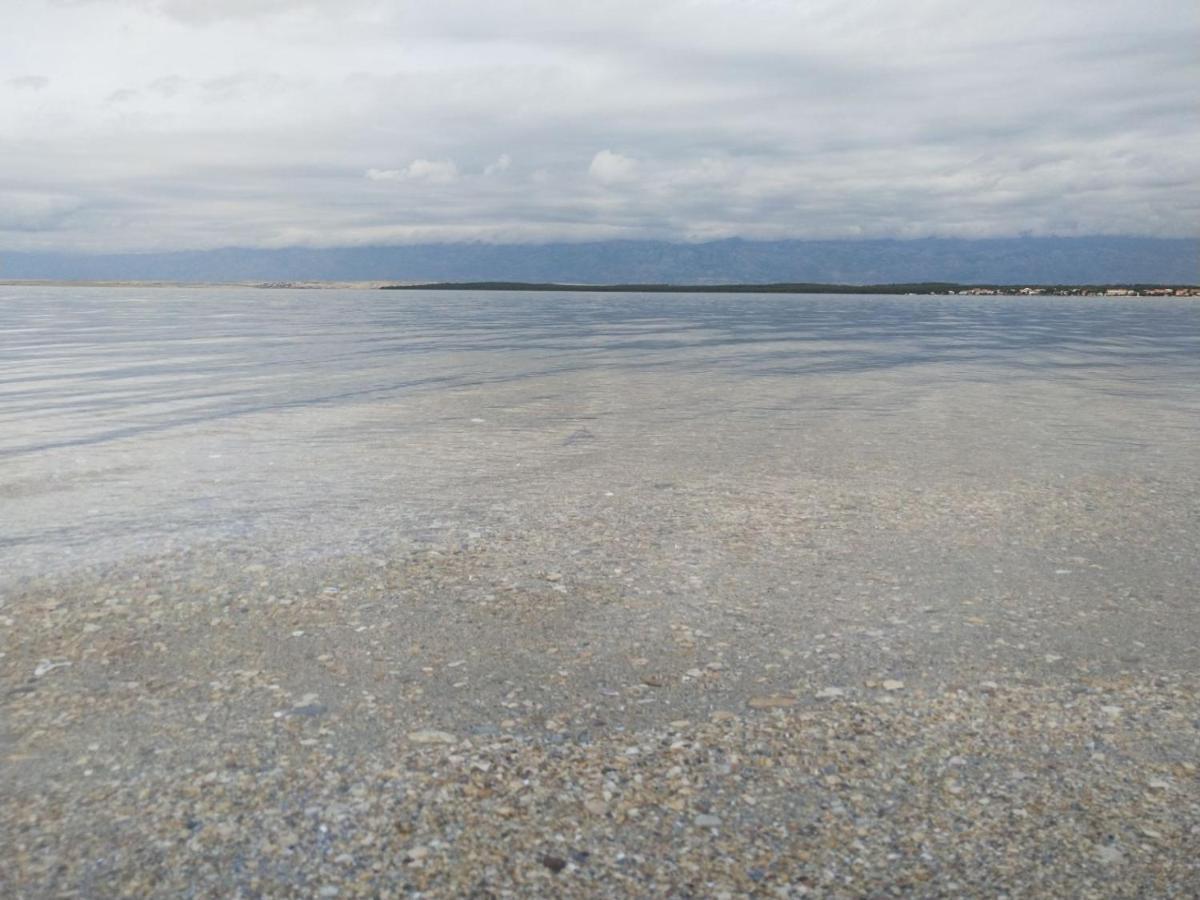 Tim Zadar